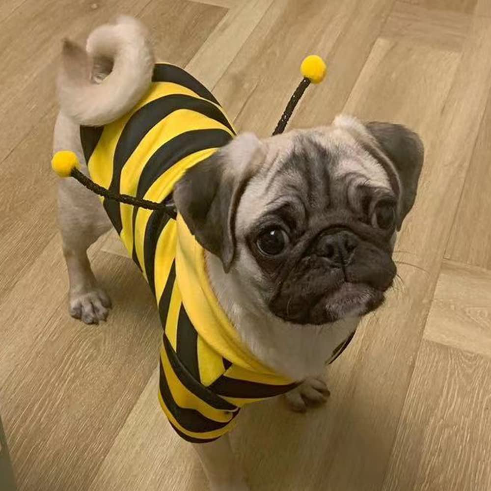 Pet Bee Halloween Costume Dog Hoodies Cat Holiday Cosplay Warm Clothes Puppy Cute Hooded Coat Christmas Outfits for Cat and Small Dogs (Yellow, X-Large)