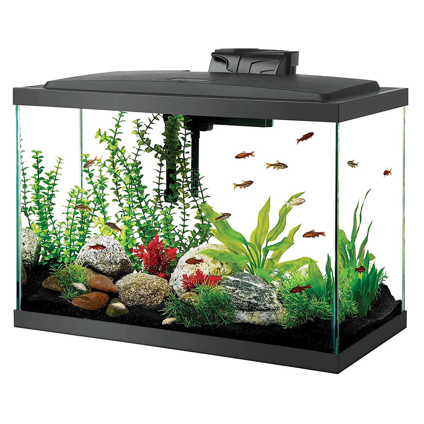 Aquarium Starter Kit with LED Lighting 20 High