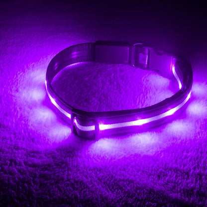 ' Safety LED Dog Collar – USB Rechargeable with Water Resistant Flashing Light